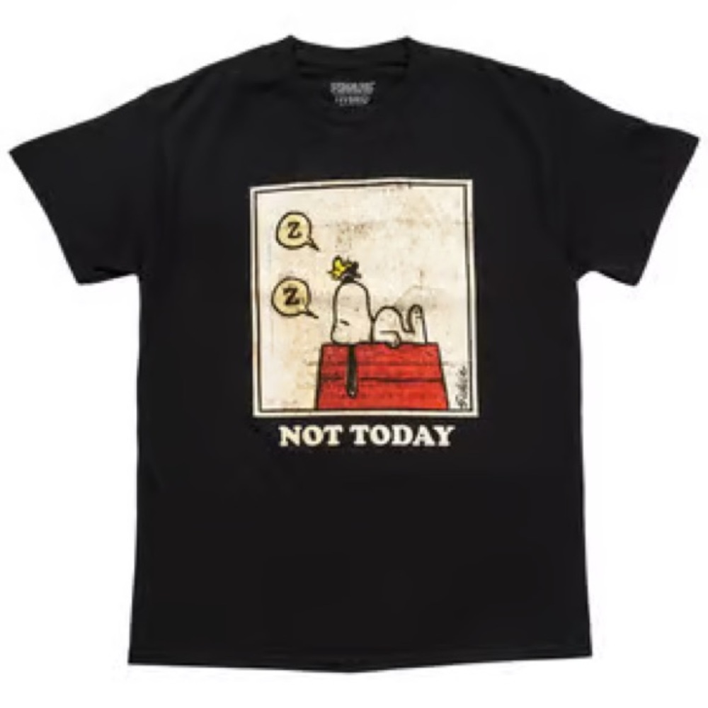 Hybrid Peanuts Graphic T-Shirt “Not Today” size L